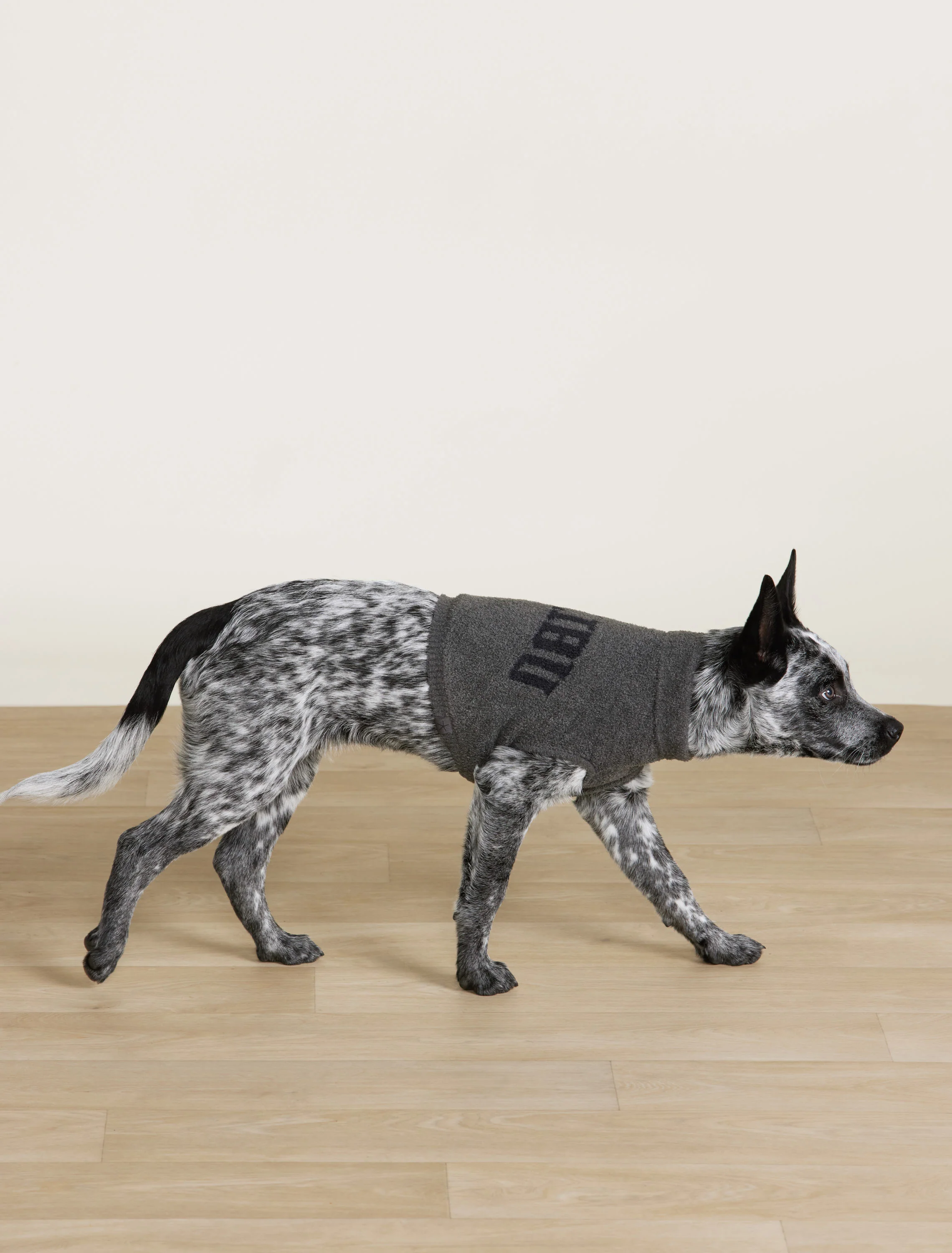 CozyChic Lite® Malibu Pet Sweater - Image 3