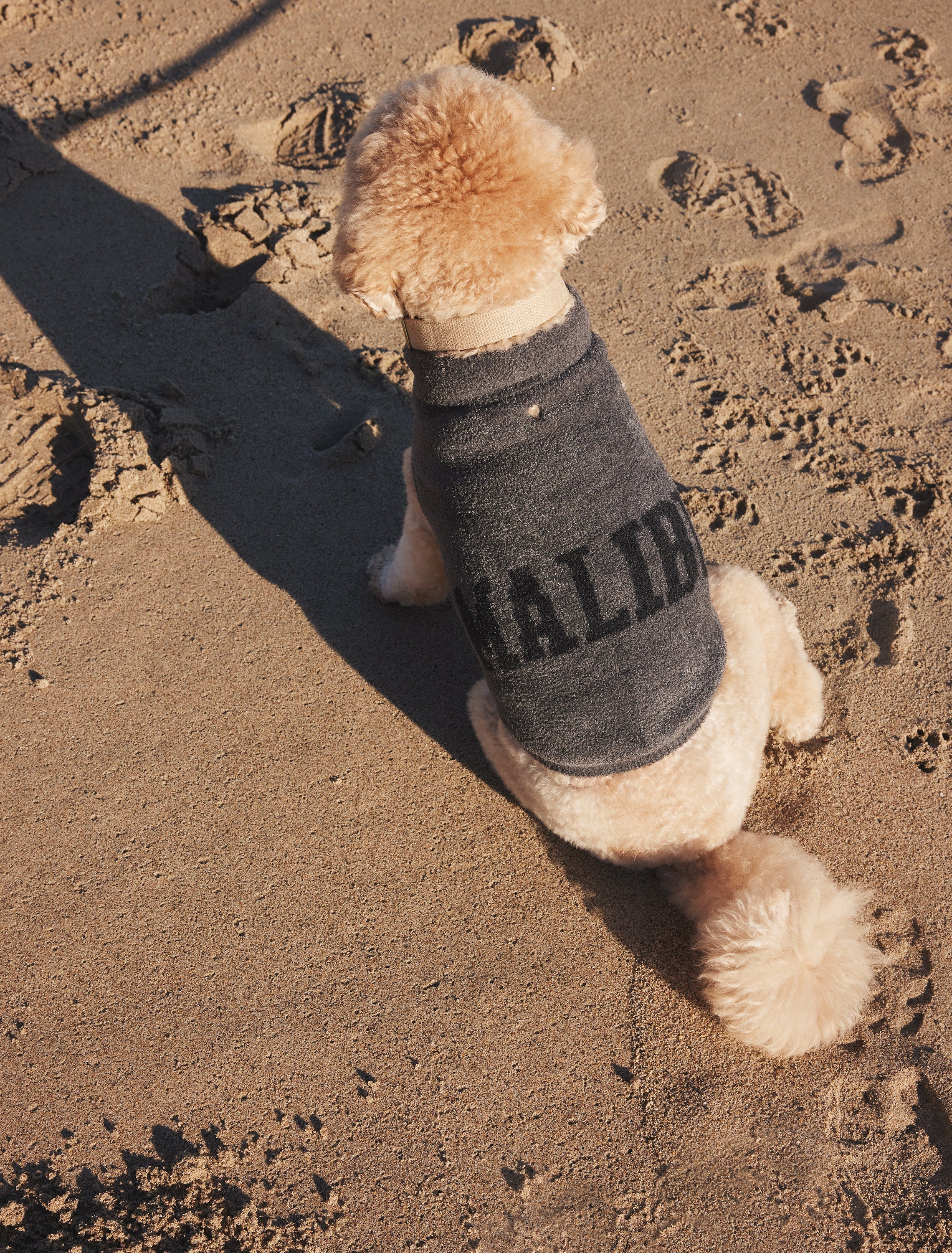 CozyChic Lite® Malibu Pet Sweater - Image 8