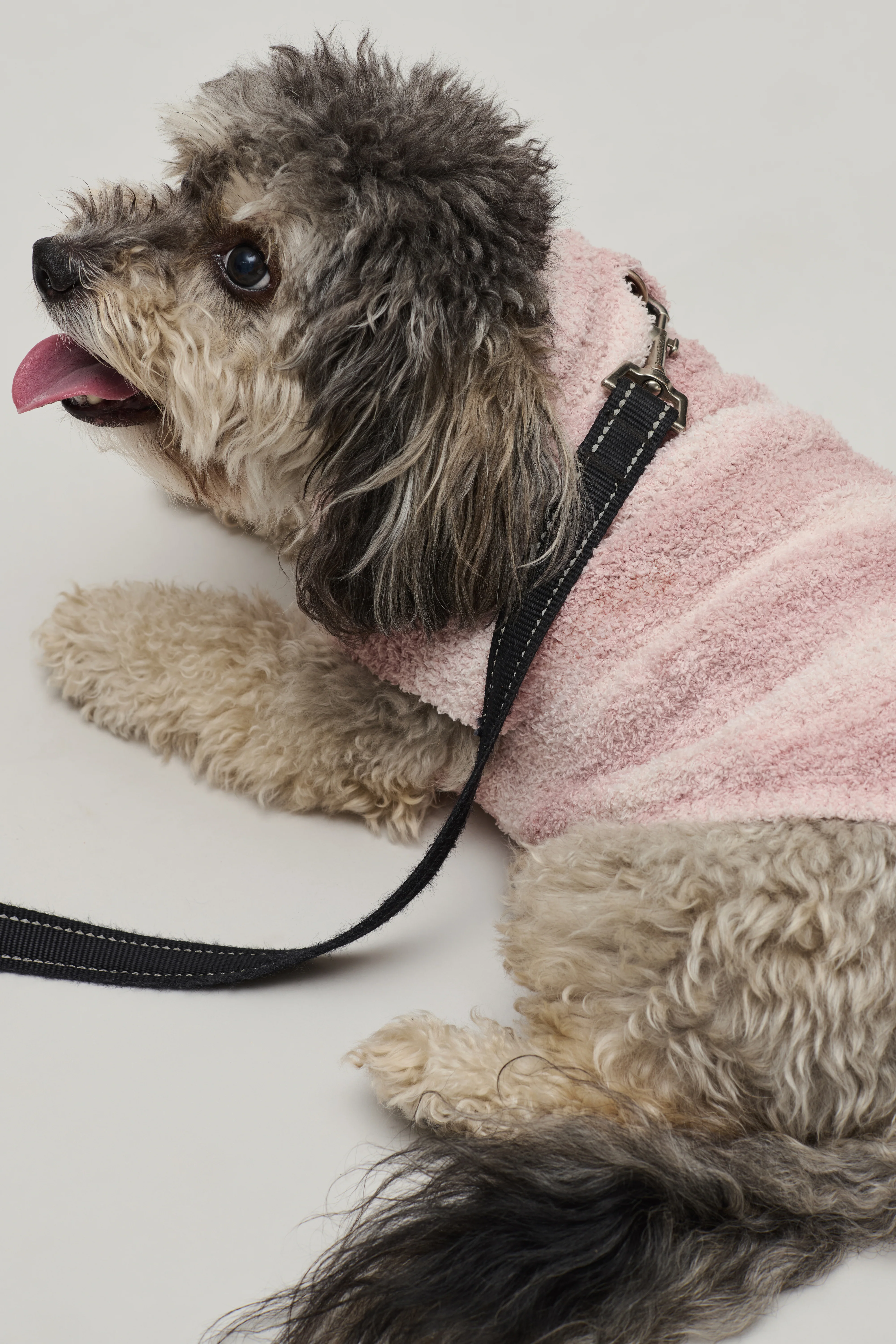 CozyChic® Space Dye Pet Sweater - Image 3