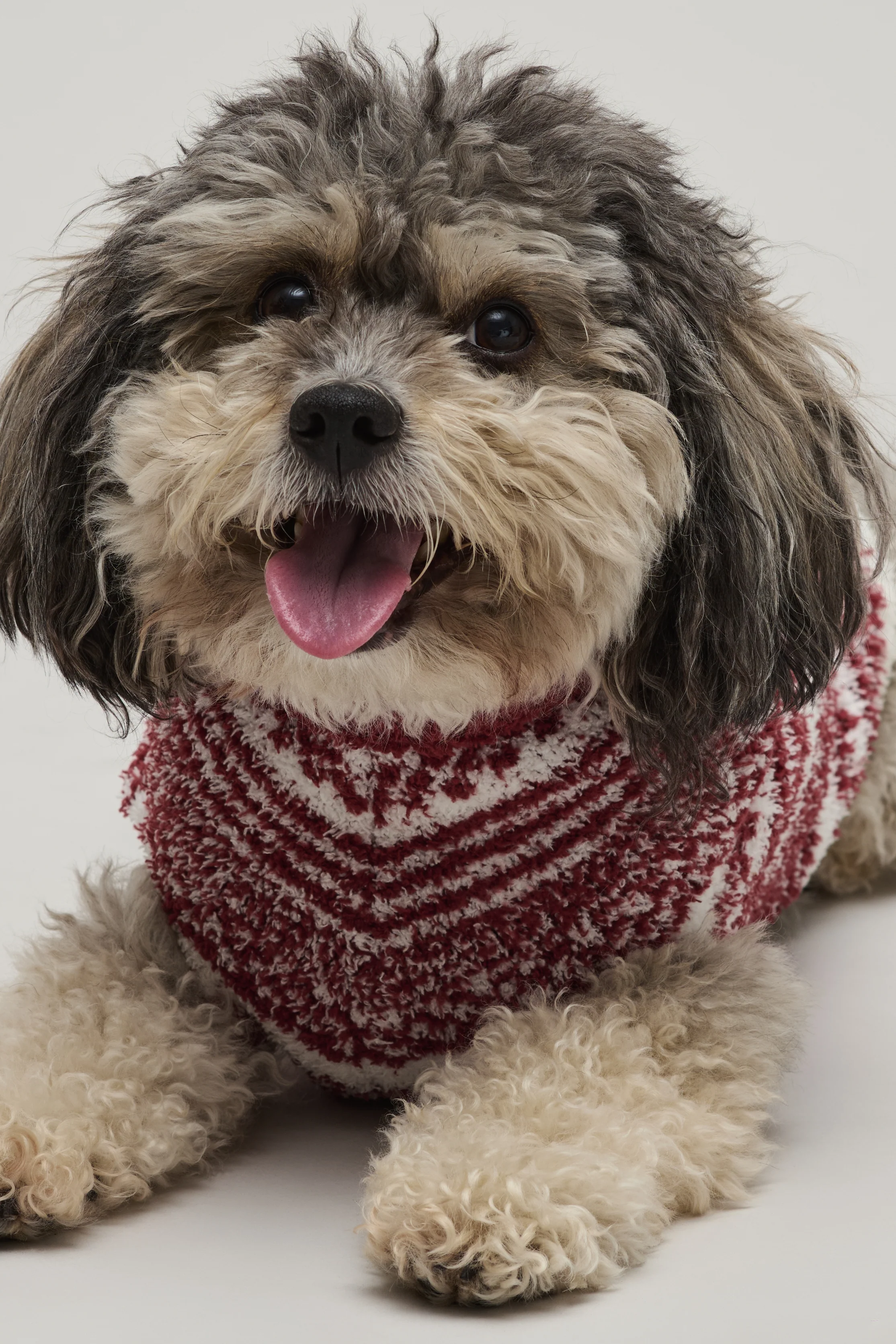 CozyChic® Checkered Stripe Pet Sweater