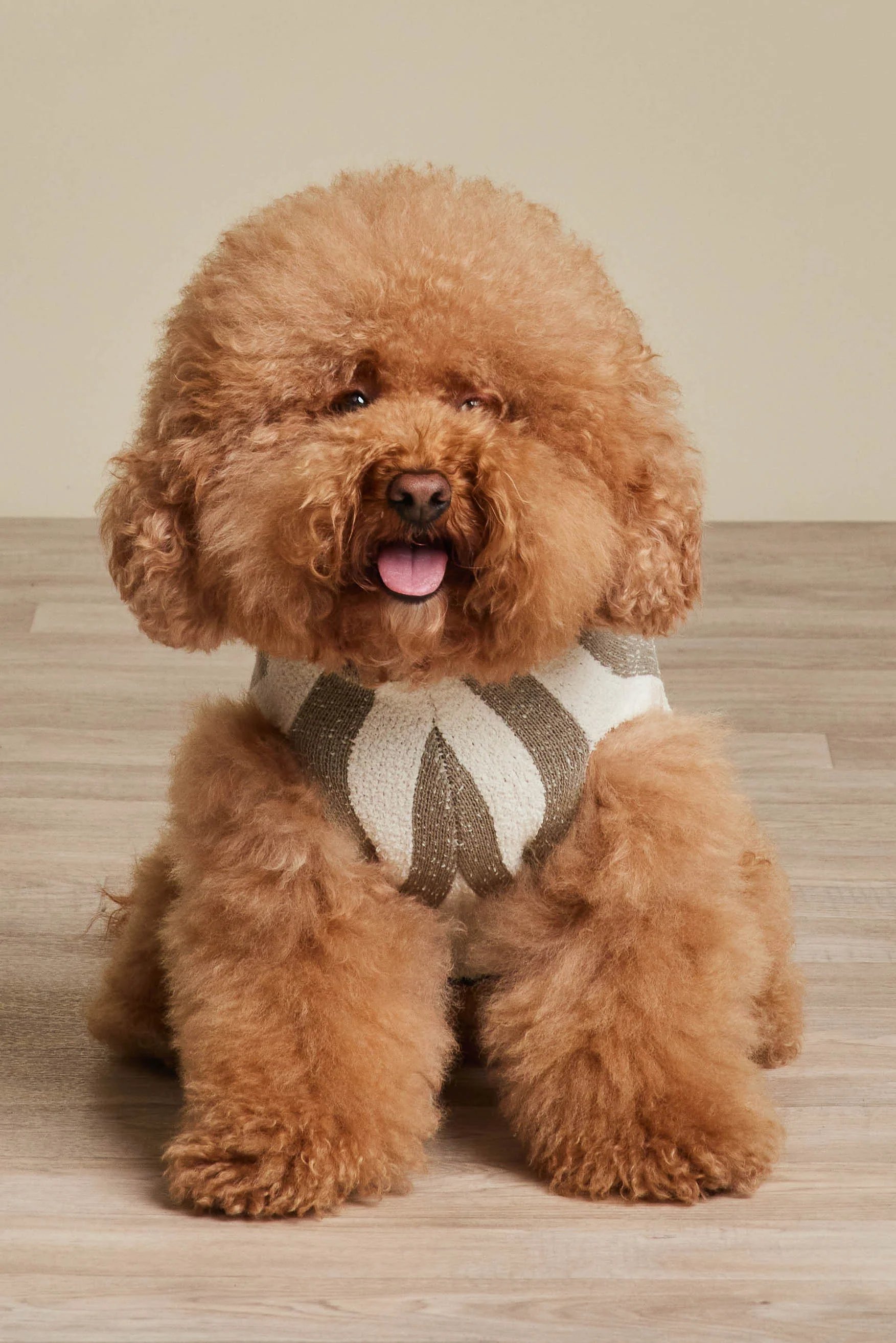 CozyChic® Cotton Classic Stripe Pet Sweater - Image 3