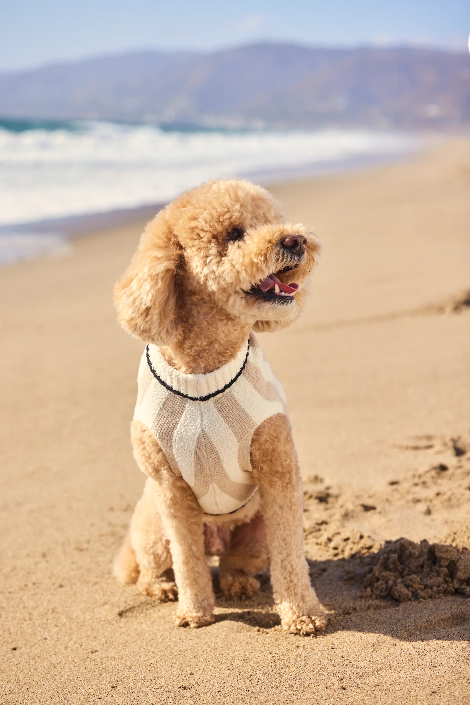 CozyChic® Cotton Classic Stripe Pet Sweater - Image 5
