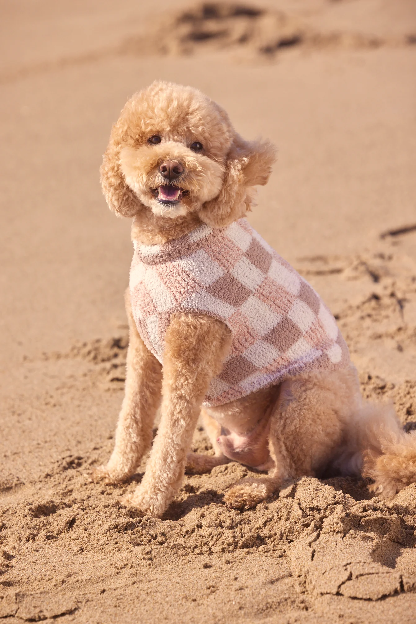 CozyChic® Tile Check Pet Sweater - Image 6